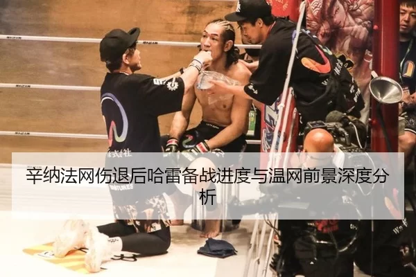 辛纳法网伤退后哈雷备战进度与温网前景深度分析
